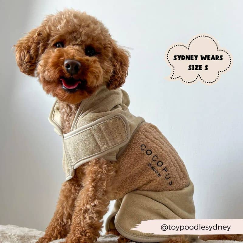 PEIGNOIR TEDDY EN MICROFIBRE POUR CHIEN - BEIGE 🧸 - Image 4