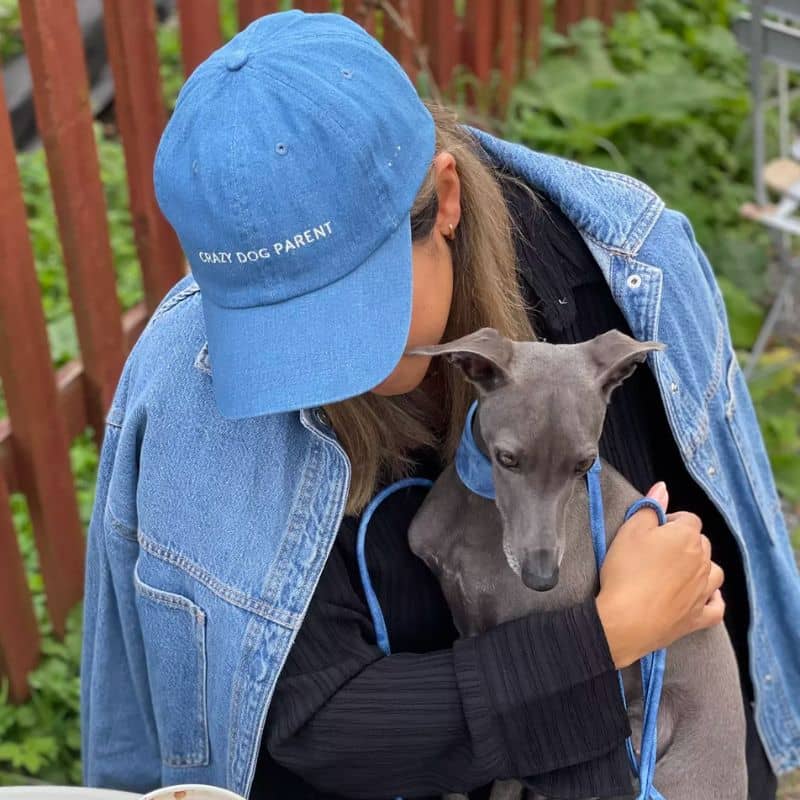 CASQUETTE - CRAZY DOG PARENT - Image 3