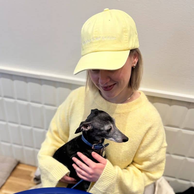 CASQUETTE - MY DOG IS MY SHRINK - Image 2