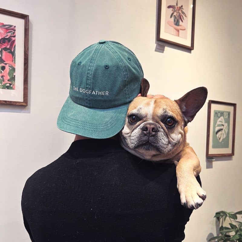 CASQUETTE - THE DOGFATHER (BLEU , NOIR OU VERT) - Image 3