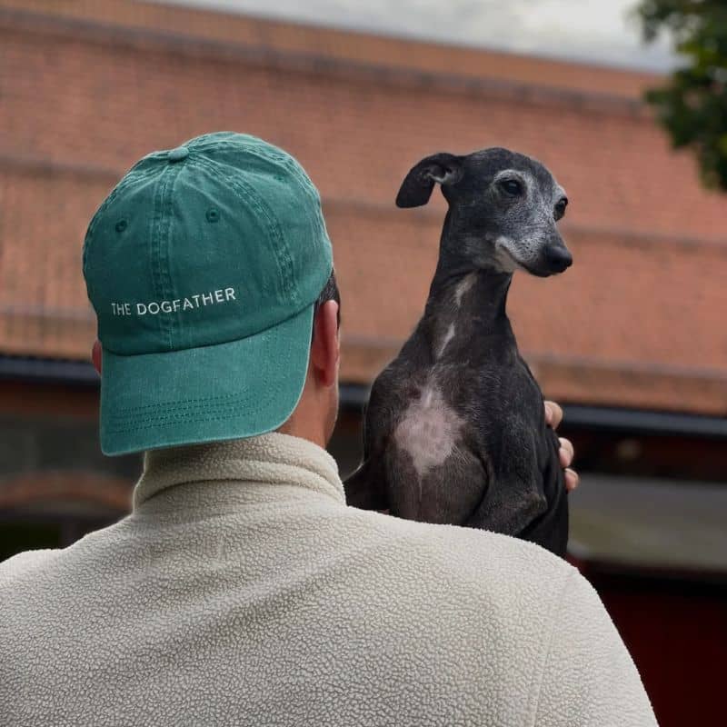 CASQUETTE - THE DOGFATHER (BLEU , NOIR OU VERT) - Image 7