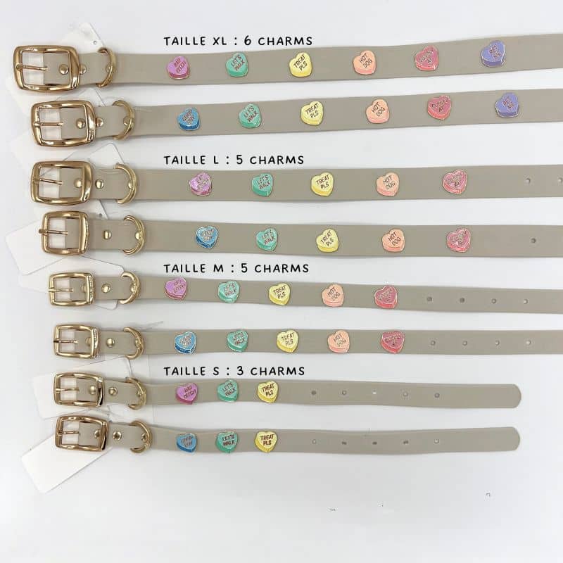 COLLIER POUR CHIEN AVEC CHARMS - đ BAD B*TCH / GOOD BOY CLUB đ - Image 6