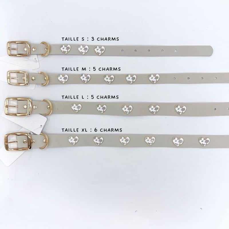 COLLIER POUR CHIEN AVEC CHARMS - COW LOVE 🤍 - Image 5