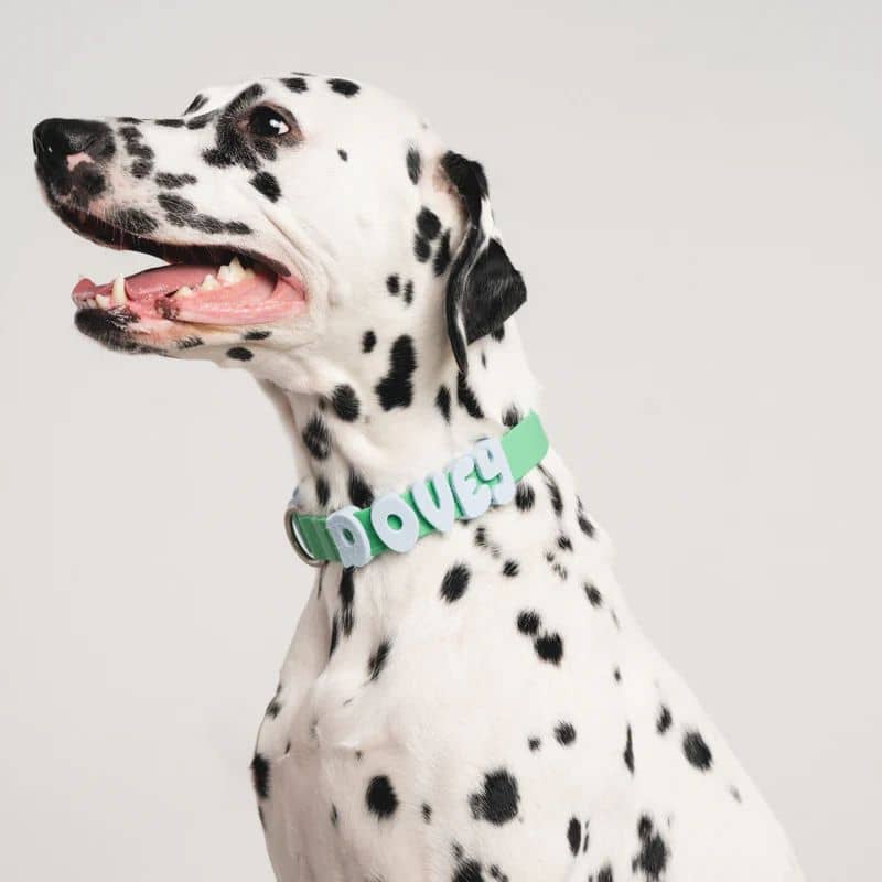 COLLIER POUR CHIEN WATERPROOF - BICOLORE BLEU / VERT (PERSONNALISABLE AVEC DES CHARMS) - Image 2