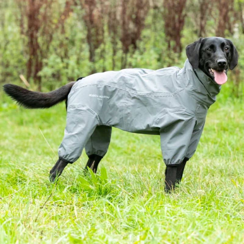 COMBINAISON DE PROTECTION POUR CHIEN - GRIS - Image 3