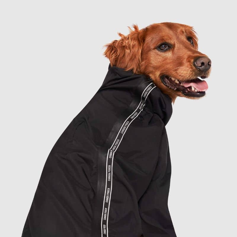 COMBINAISON DE PROTECTION POUR CHIEN - SLUSH SUIT NOIR - Image 3