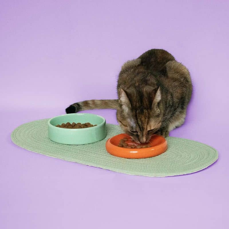 GAMELLE BENTO EN CÉRAMIQUE POUR CHAT - BOL ET SOUCOUPE - Image 2
