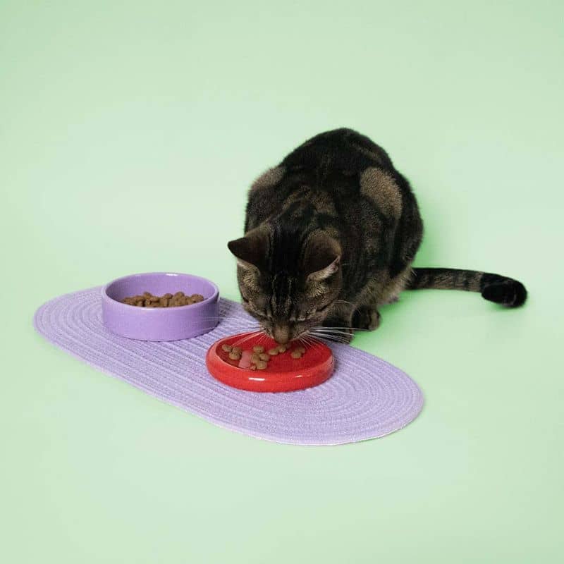 GAMELLE BENTO EN CÉRAMIQUE POUR CHAT - BOL ET SOUCOUPE - Image 3