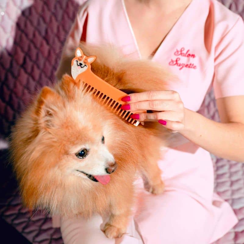 PEIGNE POUR CHEVEUX - CORGI - Image 3