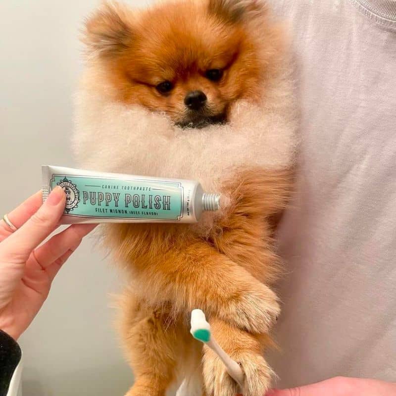 DENTIFRICE NATUREL POUR CHIEN - Image 2