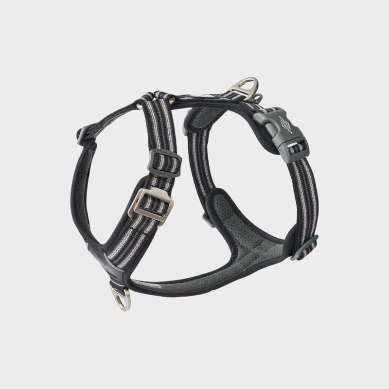 HARNAIS POUR CHIEN COMFORT WALK AIR™ - NOIR *NOUVEAU DESIGN*