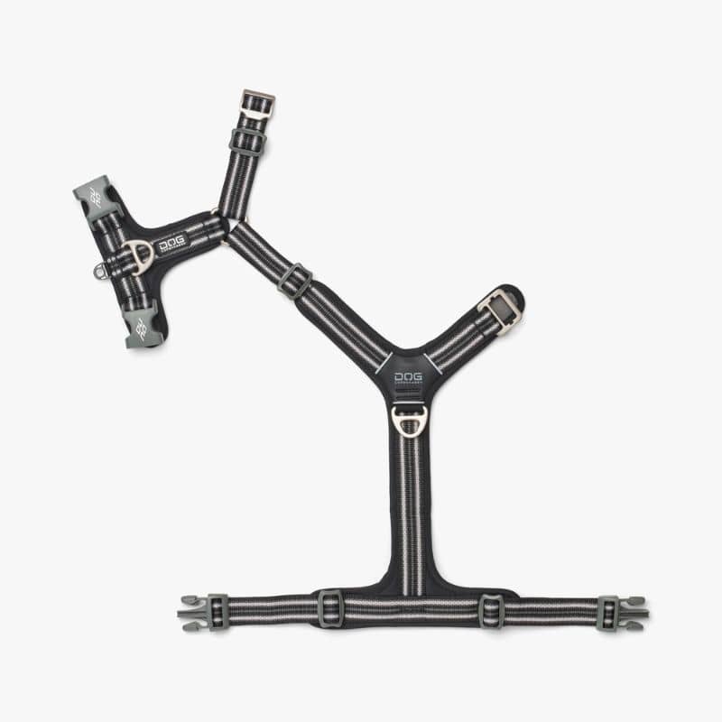 HARNAIS POUR CHIEN COMFORT WALK AIR™ - NOIR *NOUVEAU DESIGN* - Image 4