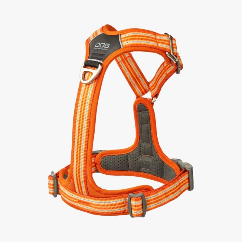 HARNAIS POUR CHIEN COMFORT WALK AIR™ - ORANGE *NOUVEAU DESIGN* - Image 3
