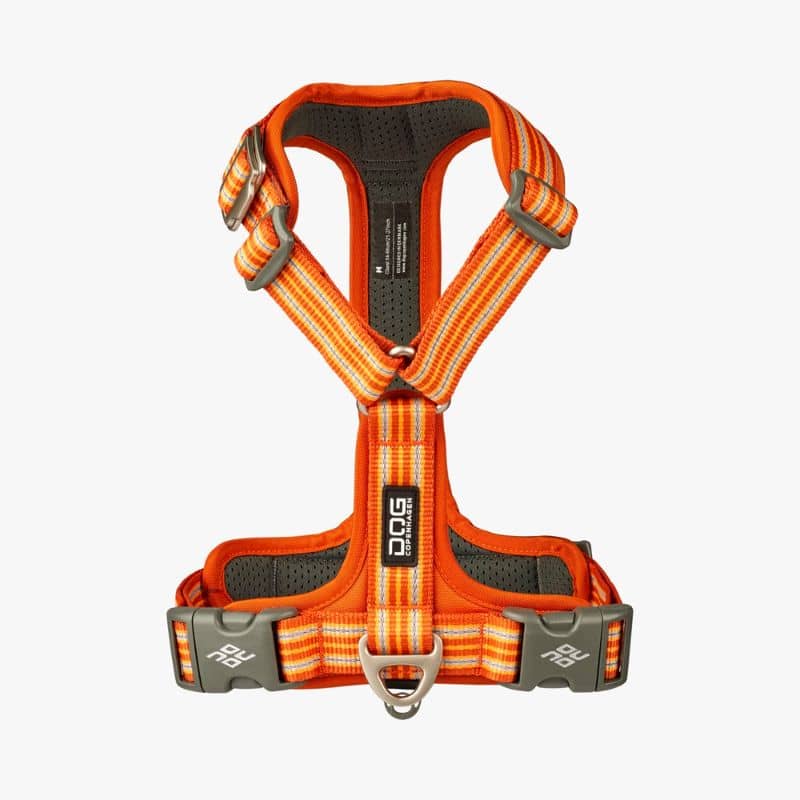 HARNAIS POUR CHIEN COMFORT WALK AIR™ - ORANGE *NOUVEAU DESIGN* - Image 4
