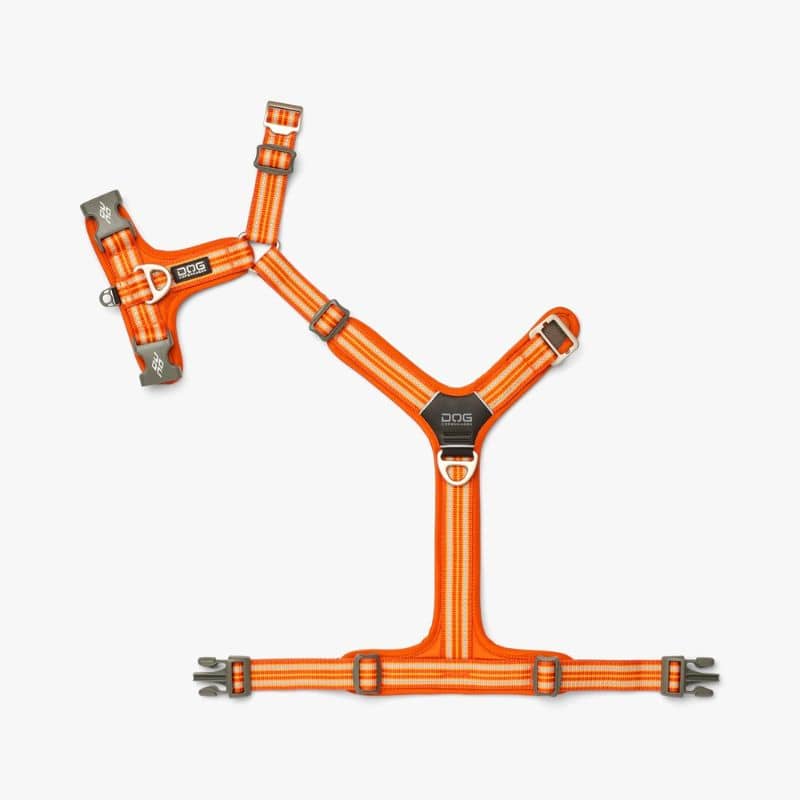 HARNAIS POUR CHIEN COMFORT WALK AIR™ - ORANGE *NOUVEAU DESIGN* - Image 6