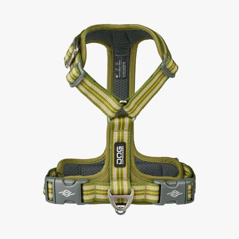HARNAIS POUR CHIEN COMFORT WALK AIR™ - VERT *NOUVEAU DESIGN* - Image 2
