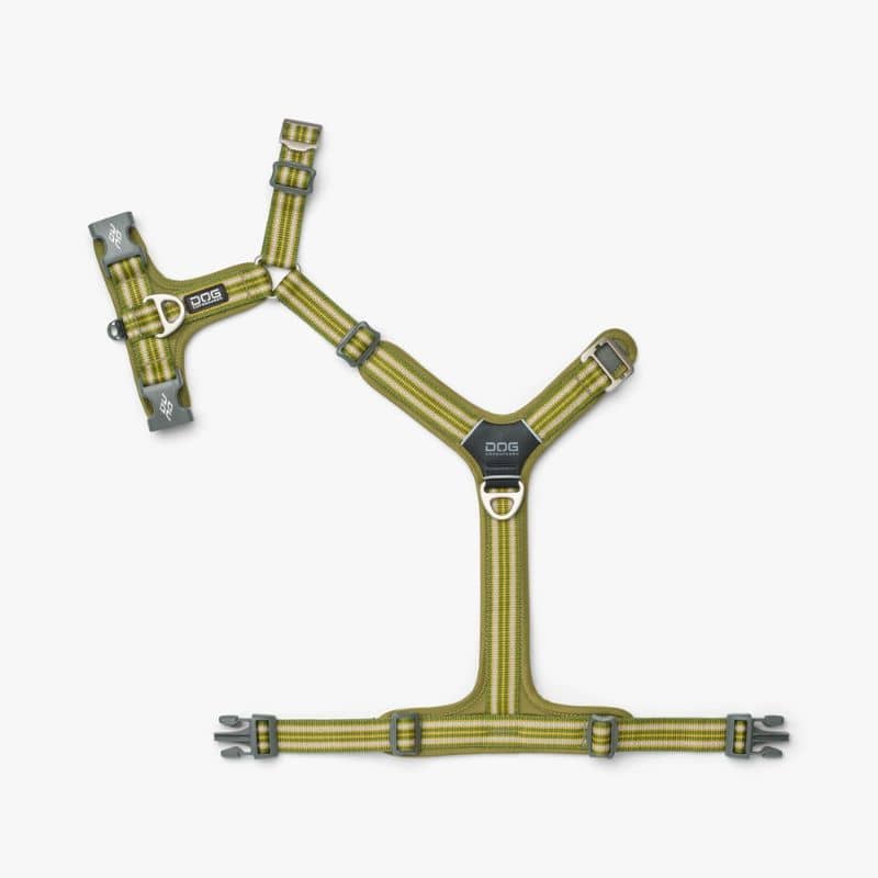 HARNAIS POUR CHIEN COMFORT WALK AIR™ - VERT *NOUVEAU DESIGN* - Image 4