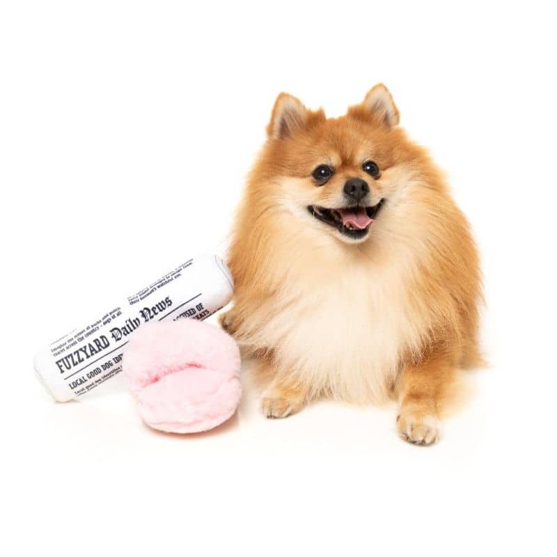 DUO DE PELUCHES POUR CHIEN - PANTOUFLE ET JOURNAL 🗞️ - Image 4