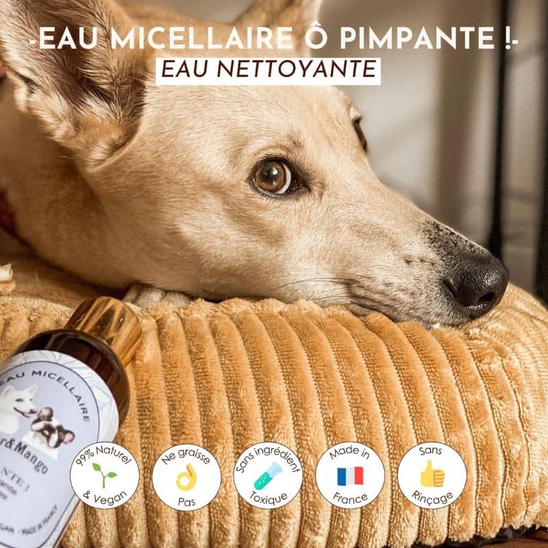 Eau nettoyante sans rinçage pour chien Ô pimpante - Image 2