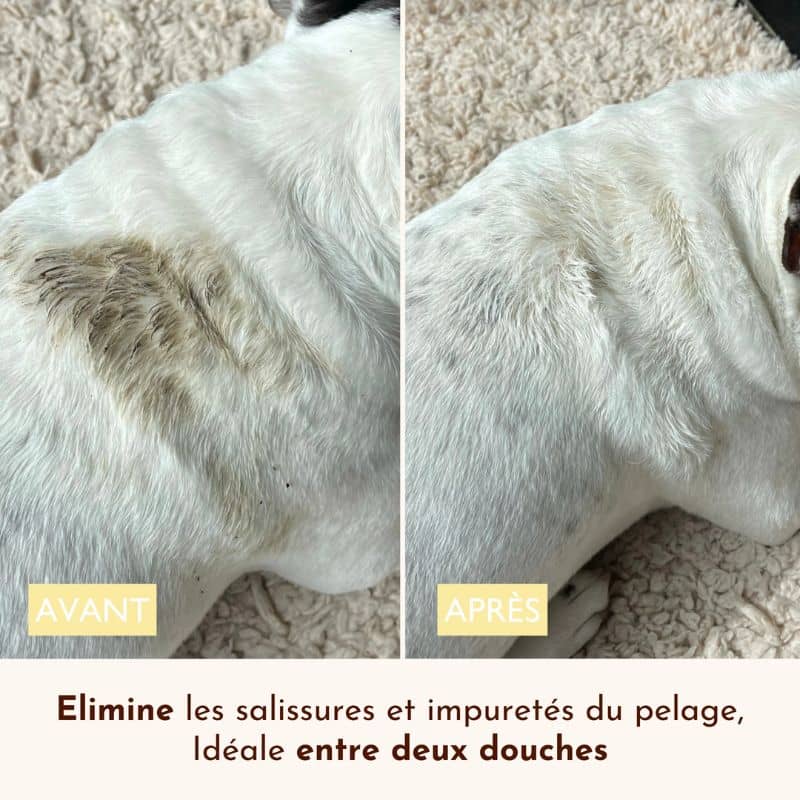 Eau nettoyante sans rinçage pour chien Ô pimpante - Image 3