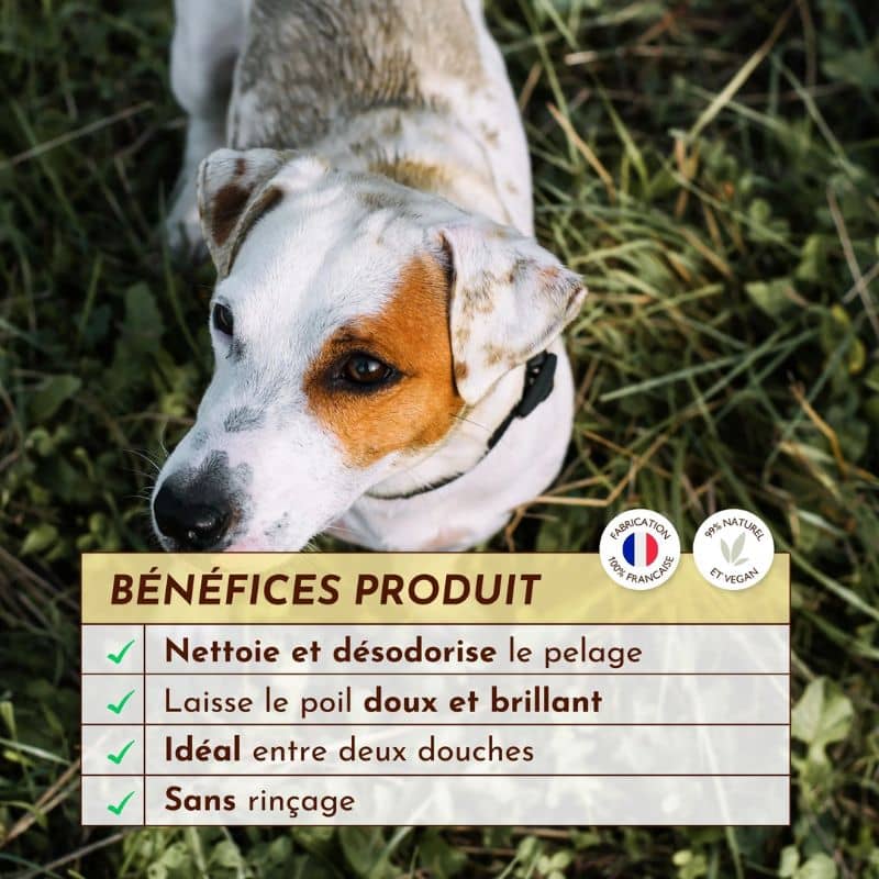 Eau nettoyante sans rinçage pour chien Ô pimpante - Image 5