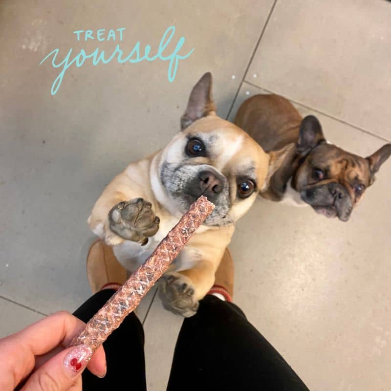 FRIANDISES POUR CHIEN - STICKS MORUE ET MYRTILLES OU CANNEBERGES - Image 2
