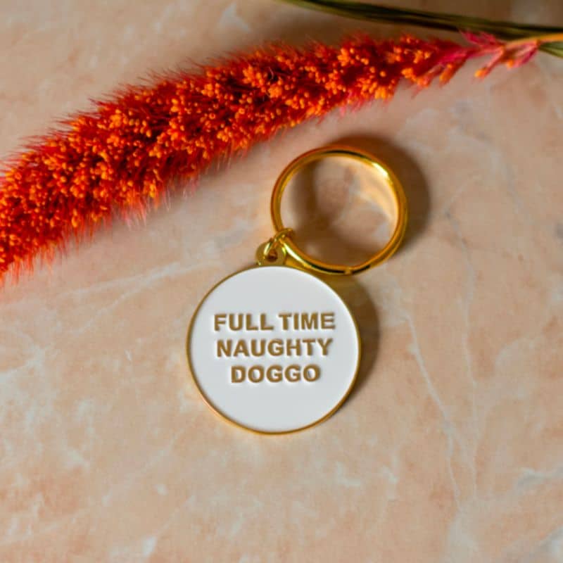 MĂDAILLE POUR CHIEN - NAUGHTY DOGGO đ - Image 2