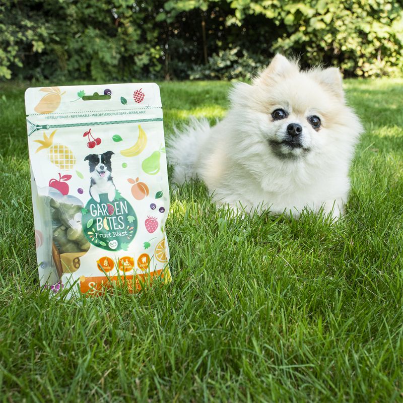 FRIANDISE DENTAIRE À MÂCHER POUR CHIEN - DENTIFRICE (SACHET DE 18 PIÈCES) - Image 3
