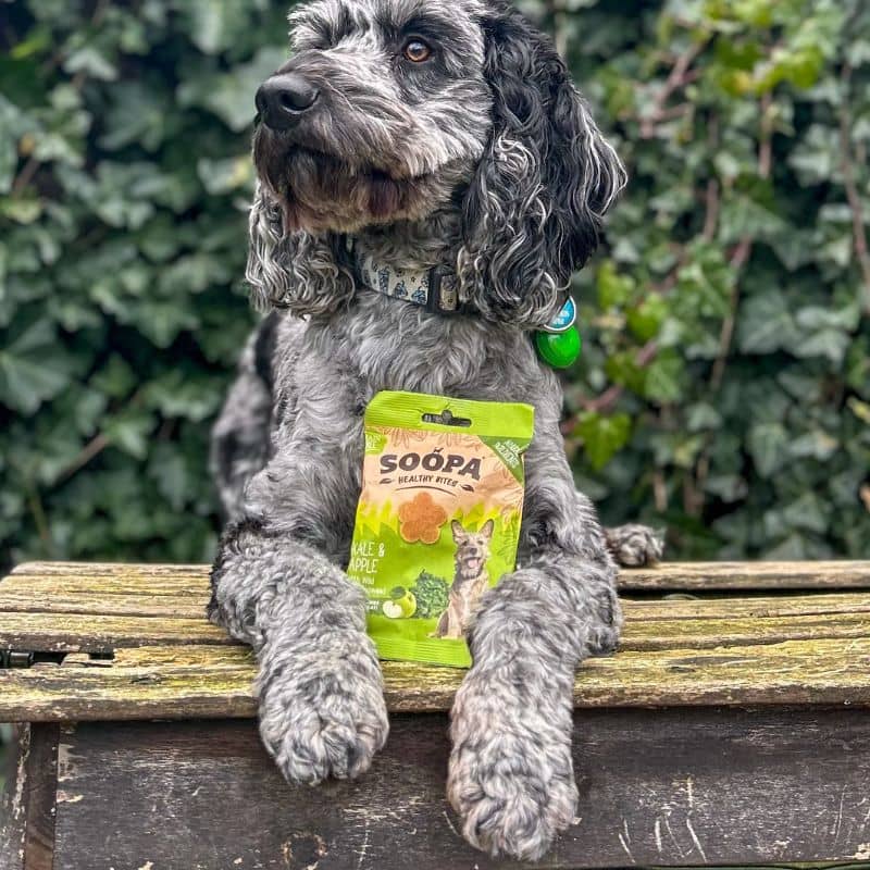 FRIANDISES D'ÉDUCATION POUR CHIEN - CHOU KALE ET POMME - Image 3