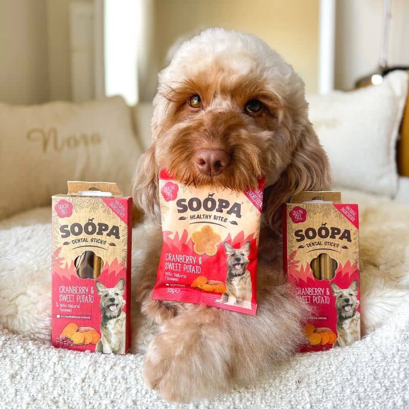 FRIANDISES D'ÉDUCATION POUR CHIEN - CRANBERRY ET PATATE DOUCE - Image 3