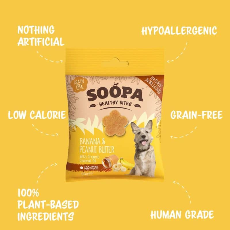 FRIANDISES D'ÉDUCATION POUR CHIEN - BANANE ET PEANUT BUTTER 🥜🍌 - Image 2