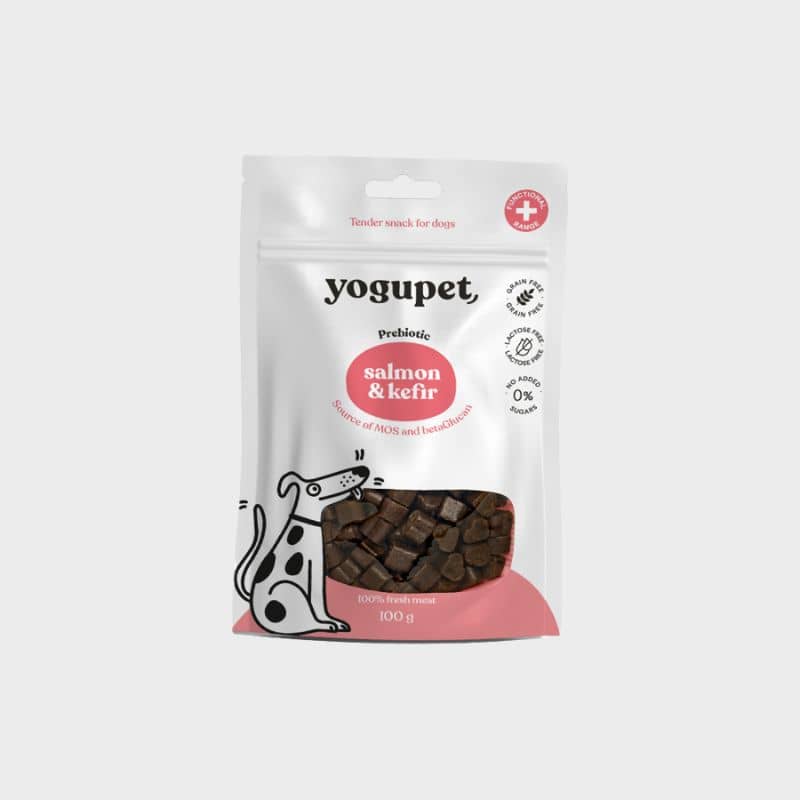 FRIANDISES POUR CHIEN - SAUMON ET KEFIR