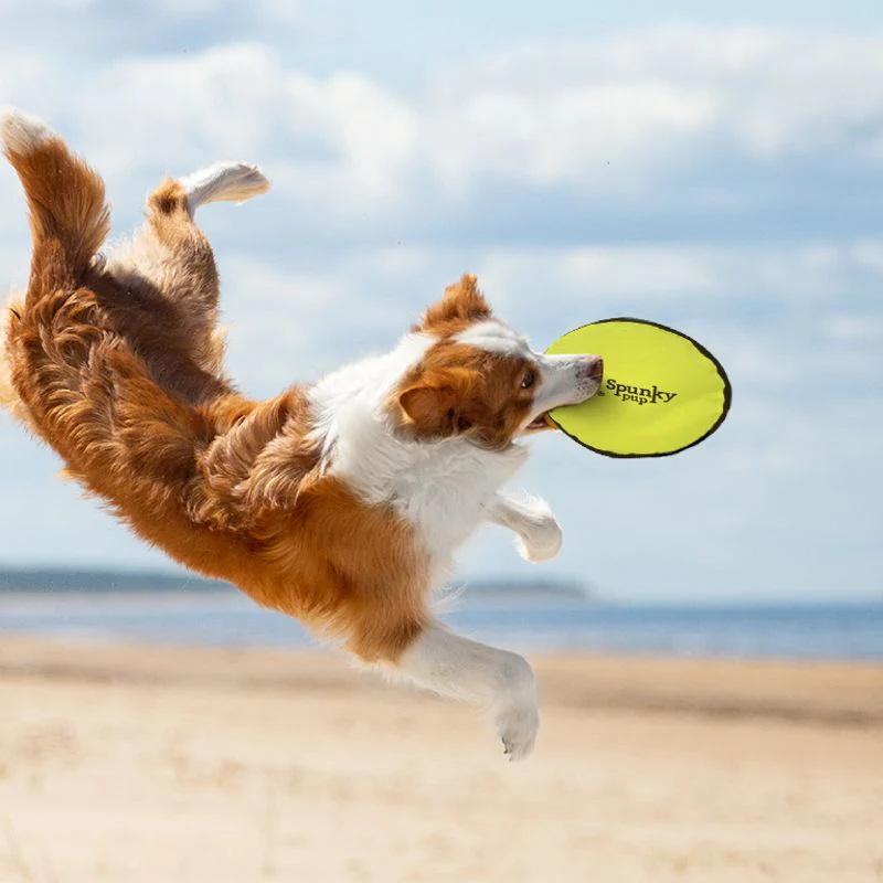 FRISBEE FLOTTANT À LANCER POUR CHIEN - Image 3