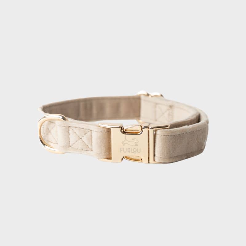 COLLIER EN VELOURS POUR CHIEN - BEIGE SABLE "SAND VELVET"