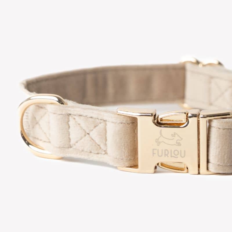 COLLIER EN VELOURS POUR CHIEN - BEIGE SABLE "SAND VELVET" - Image 2
