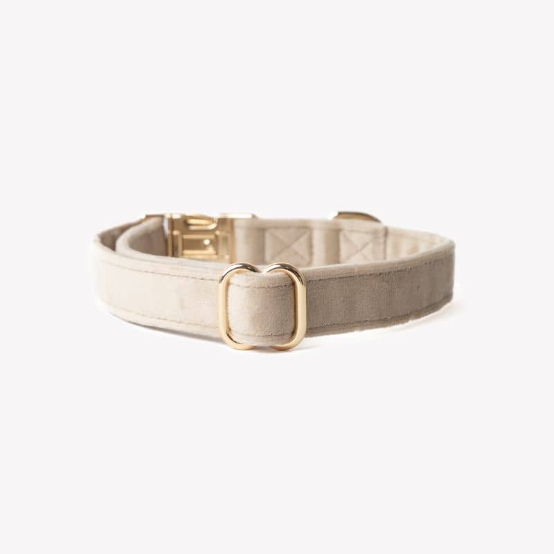 COLLIER EN VELOURS POUR CHIEN - BEIGE SABLE "SAND VELVET" - Image 3