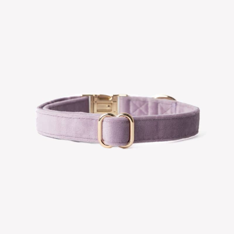 COLLIER EN VELOURS POUR CHIEN - MAUVE PARME "LILAC VELVET" - Image 3