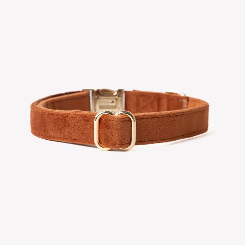COLLIER EN VELOURS POUR CHIEN - ORANGE TERRE CUITE "CLAY VELVET" - Image 3