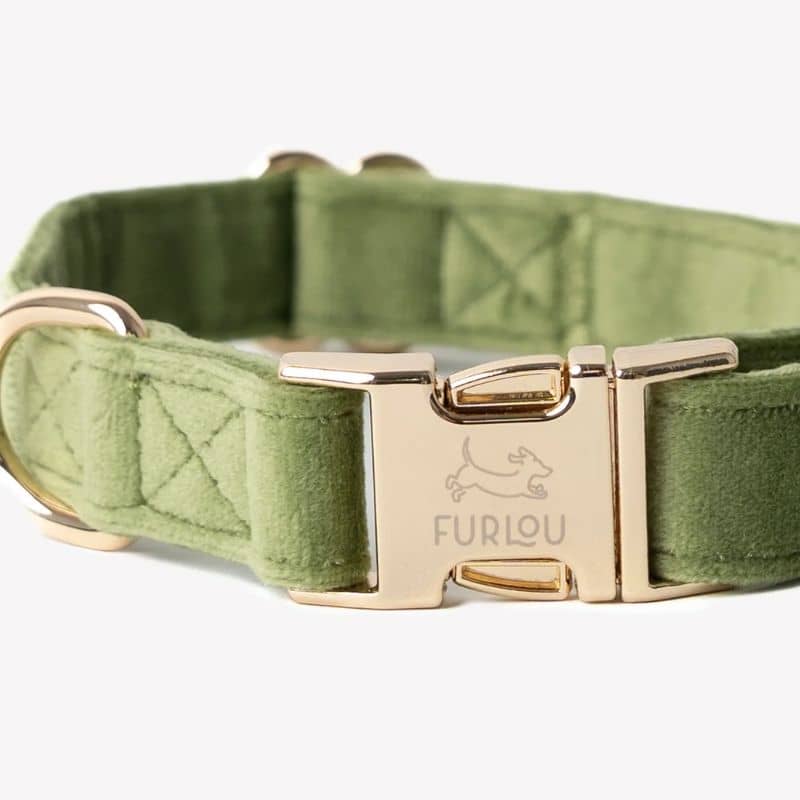 COLLIER EN VELOURS POUR CHIEN - VERT "GREEN VELVET" - Image 2