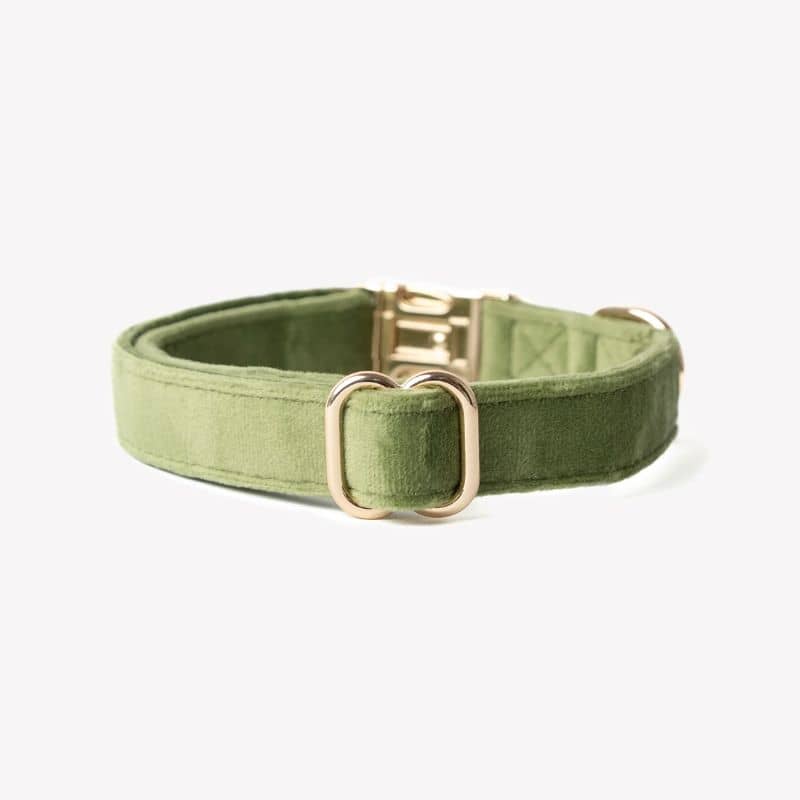 COLLIER EN VELOURS POUR CHIEN - VERT "GREEN VELVET" - Image 3