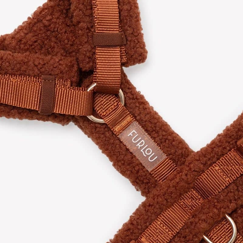 HARNAIS STRAP (EN H) SHERPA POUR CHIEN - ORANGE TERRE CUITE "CLAY" - Image 3
