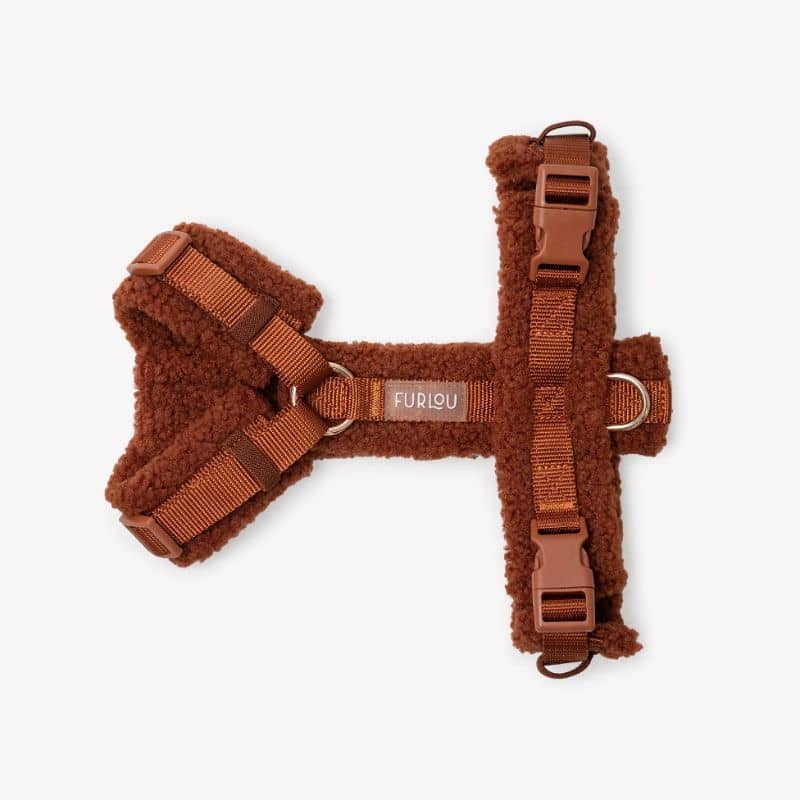 HARNAIS STRAP (EN H) SHERPA POUR CHIEN - ORANGE TERRE CUITE "CLAY" - Image 4