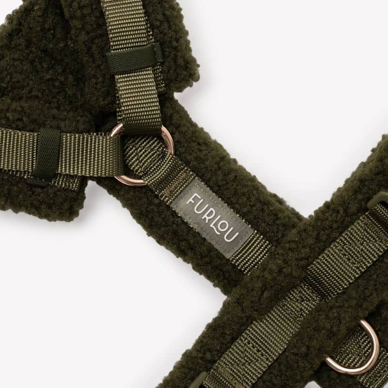 HARNAIS STRAP (EN H) SHERPA POUR CHIEN - VERT "MOSS GREEN" - Image 3