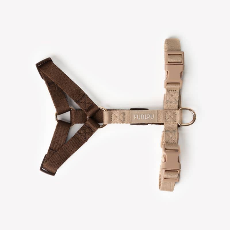 đ HARNAIS STRAP (EN H) POUR CHIEN - PUPPACCINO - Image 3
