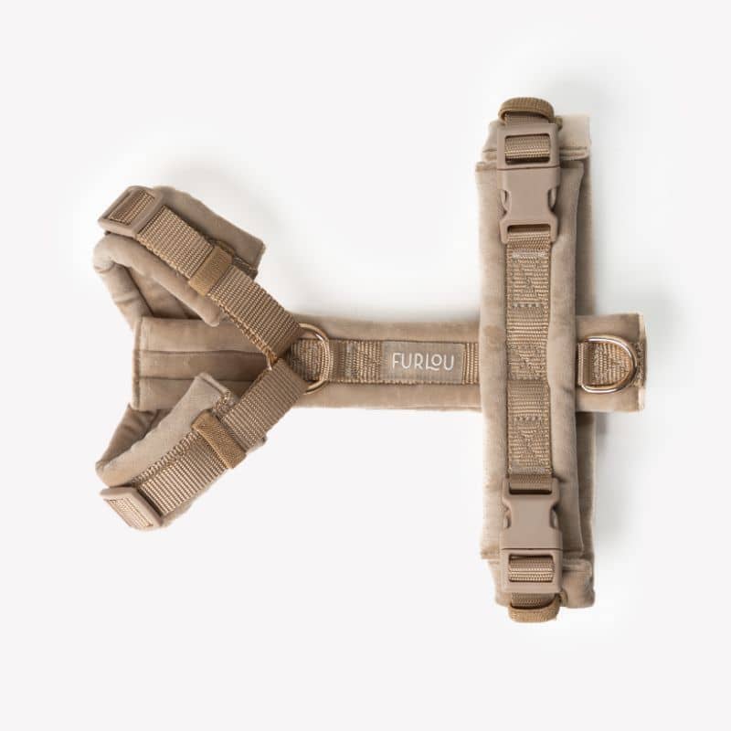 HARNAIS EN VELOURS EN H POUR CHIEN - BEIGE SABLE "SAND VELVET" - Image 3