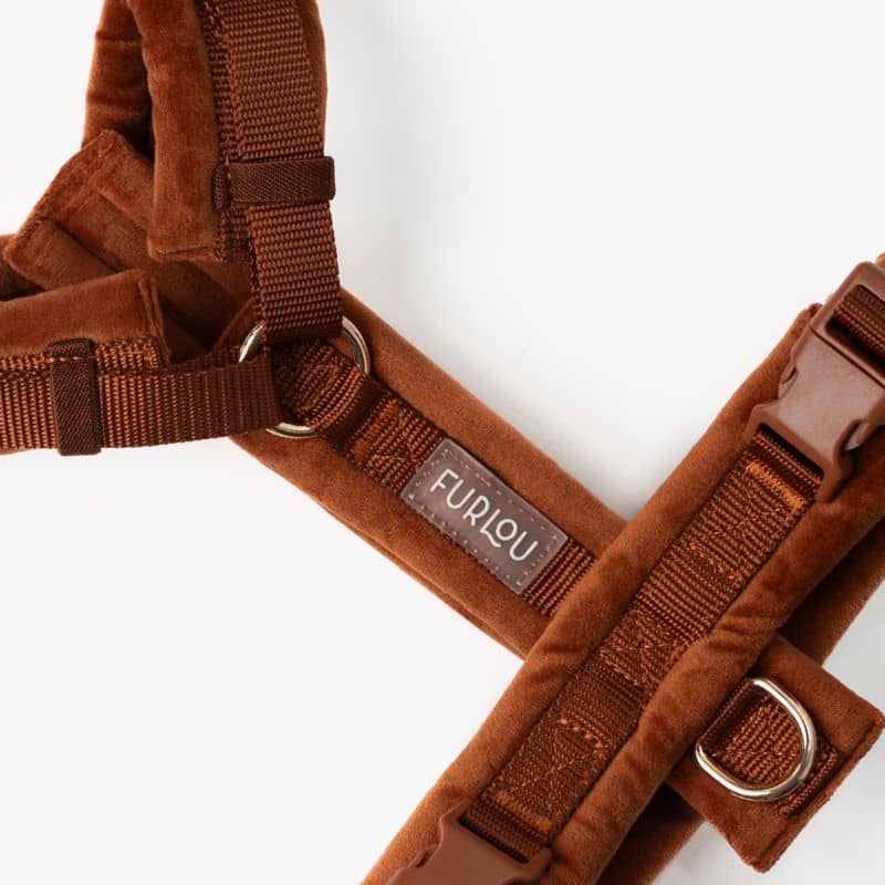 HARNAIS EN VELOURS EN H POUR CHIEN - ORANGE TERRE CUITE "CLAY VELVET" - Image 2