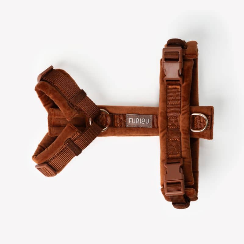 HARNAIS EN VELOURS EN H POUR CHIEN - ORANGE TERRE CUITE "CLAY VELVET" - Image 3