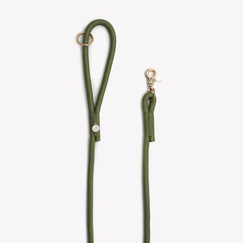 LAISSE EN CORDE POUR CHIEN - VERT - Image 3