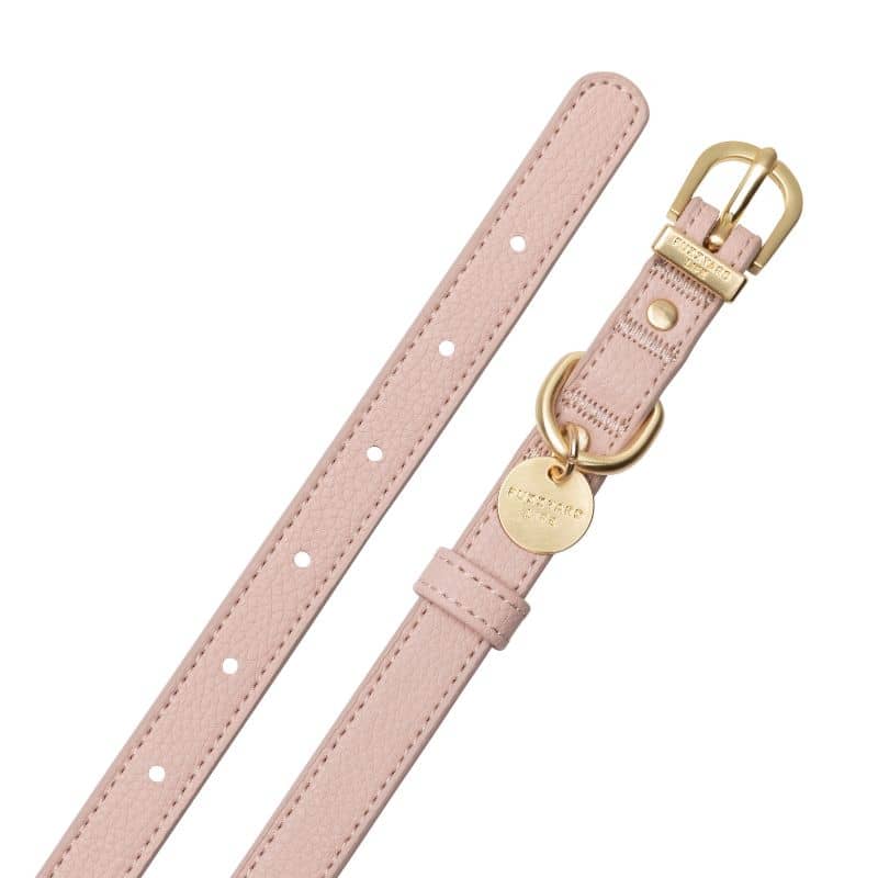 COLLIER POUR CHIEN - CUIR VEGAN (DISPO EN ROSE, VERT ET BLEU) - Image 6
