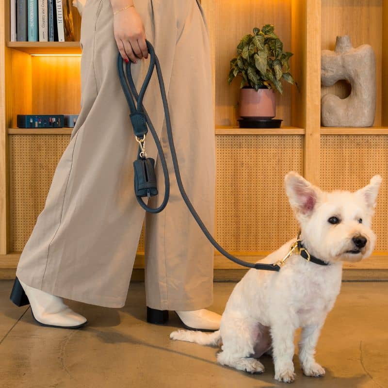 LAISSE EN CORDE POUR CHIEN - CORDE & CUIR VEGAN EN GRIS ANTHRACITE - Image 2